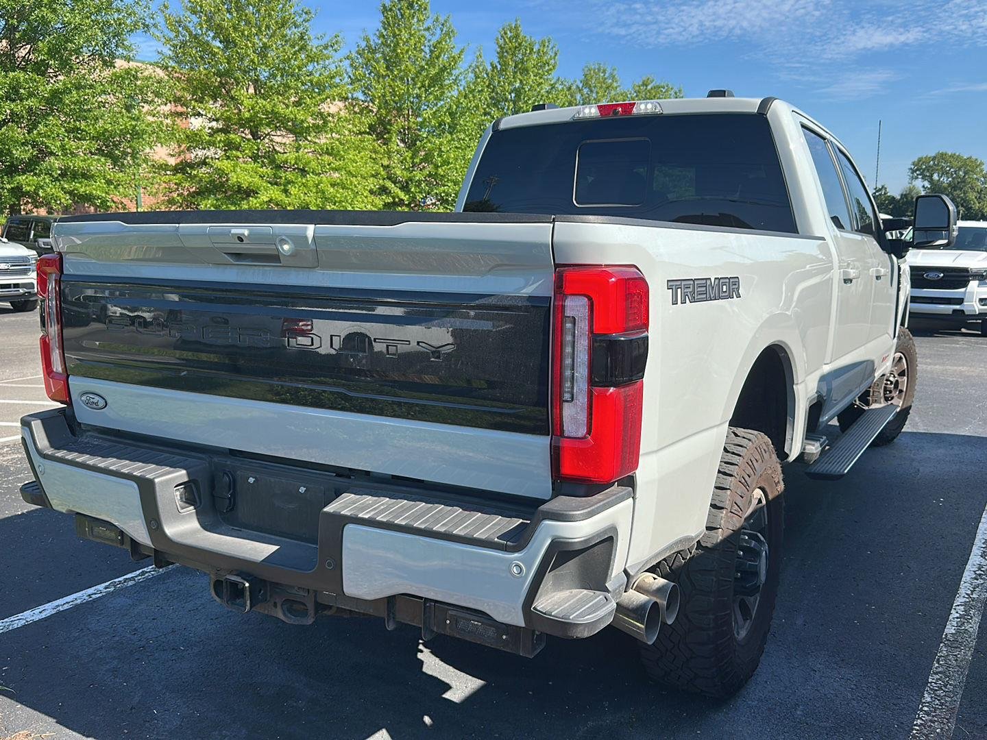 Used 2025 Avalanche Gray Ford Platinum image 3