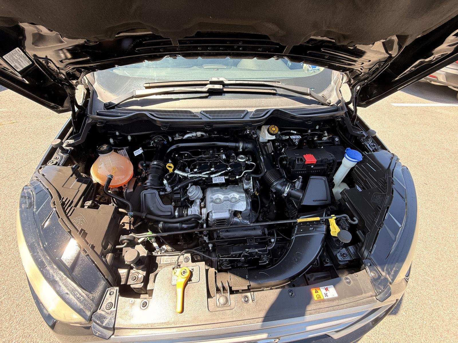 Used 2019 Shadow Black Ford SE image 11