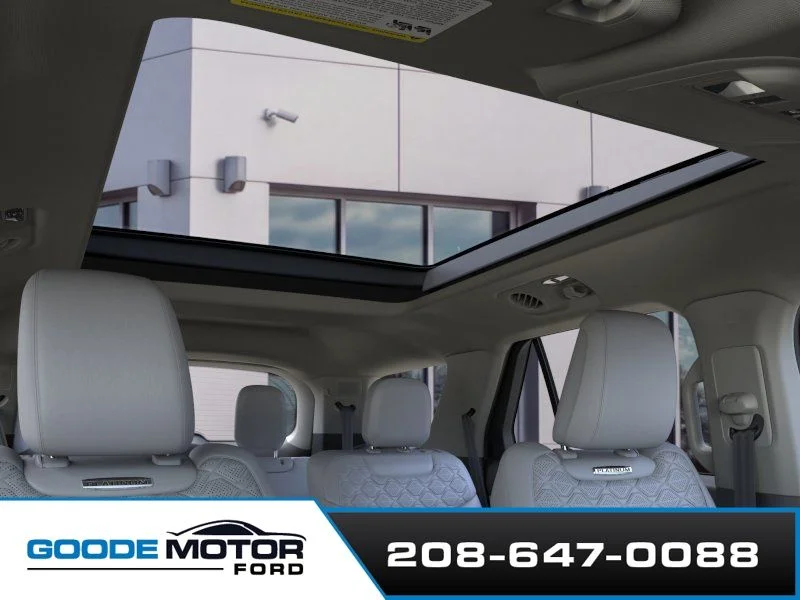 New 2026 Carbonized Gray Metallic Ford Platinum™ image 22
