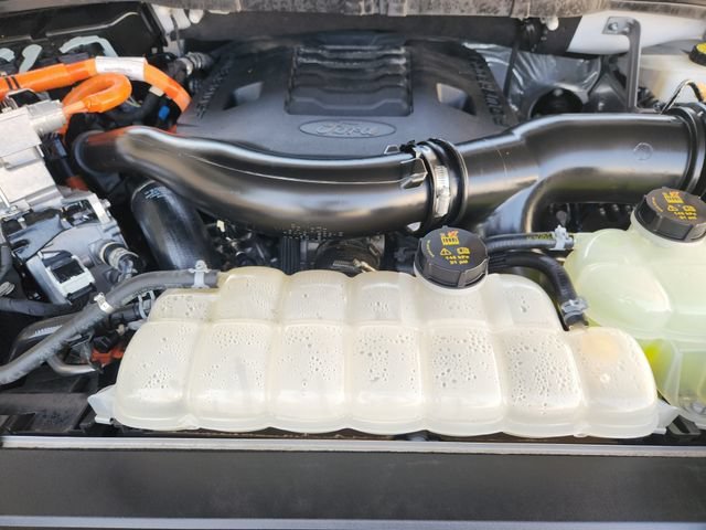 Used 2023 White Ford XL image 33