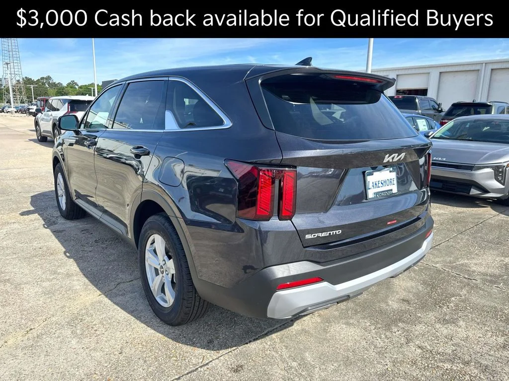 New 2026 Panthera Metal Kia LX image 4