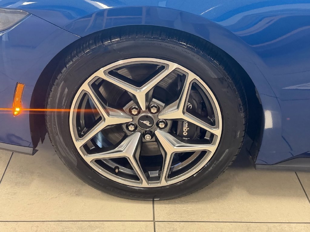 Used 2024 Blue Ford GT Premium image 15