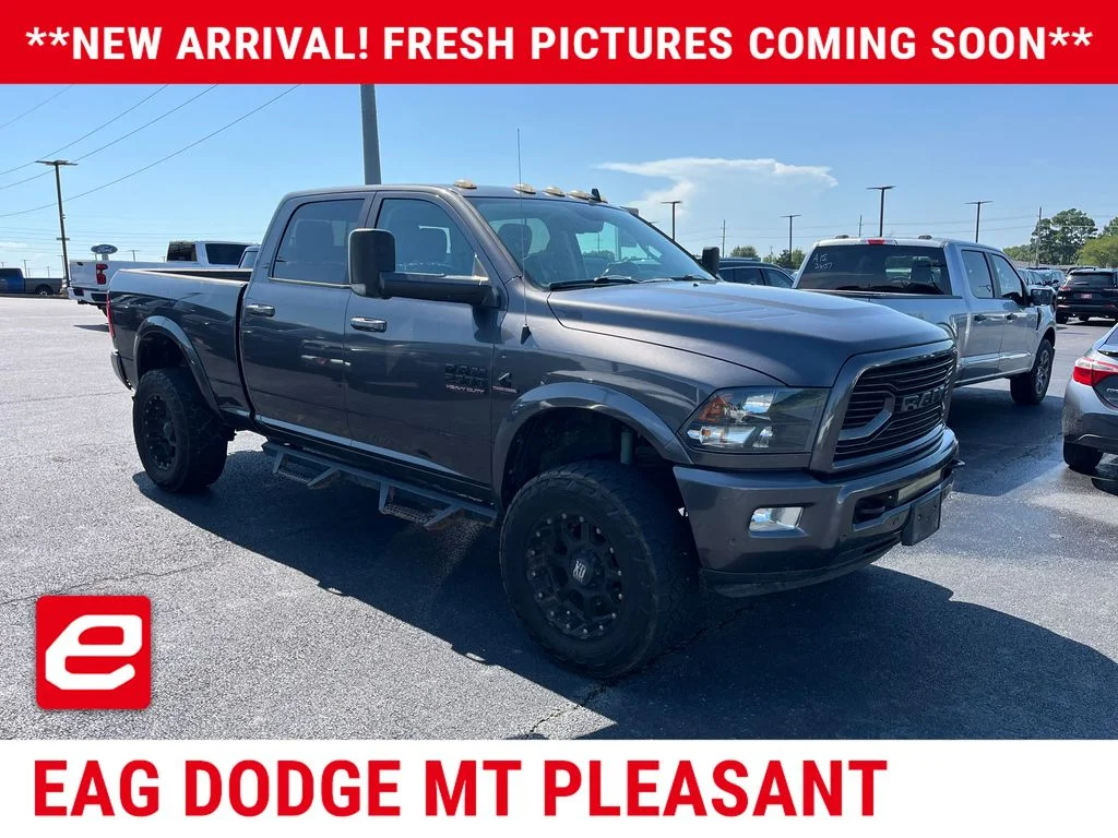 Used 2018 Gray Ram Lone Star image 1