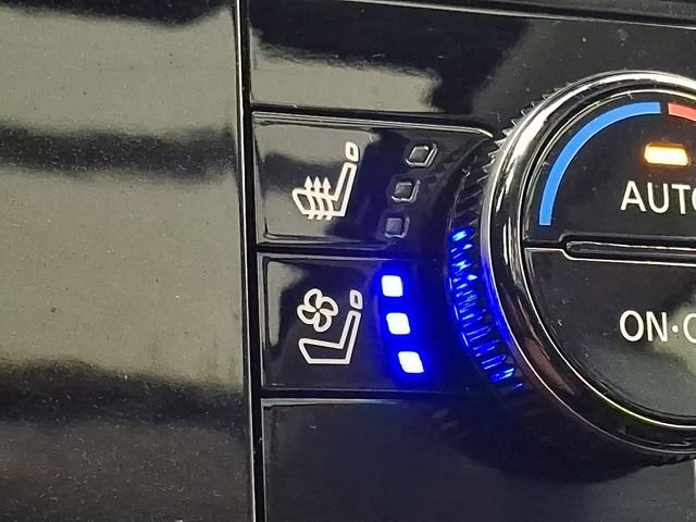 Used 2025 White Nissan Platinum image 30
