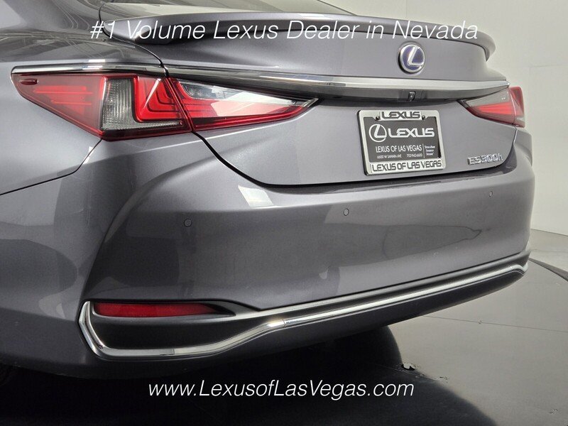 Used 2020 Gray Pearl Lexus 300h image 5