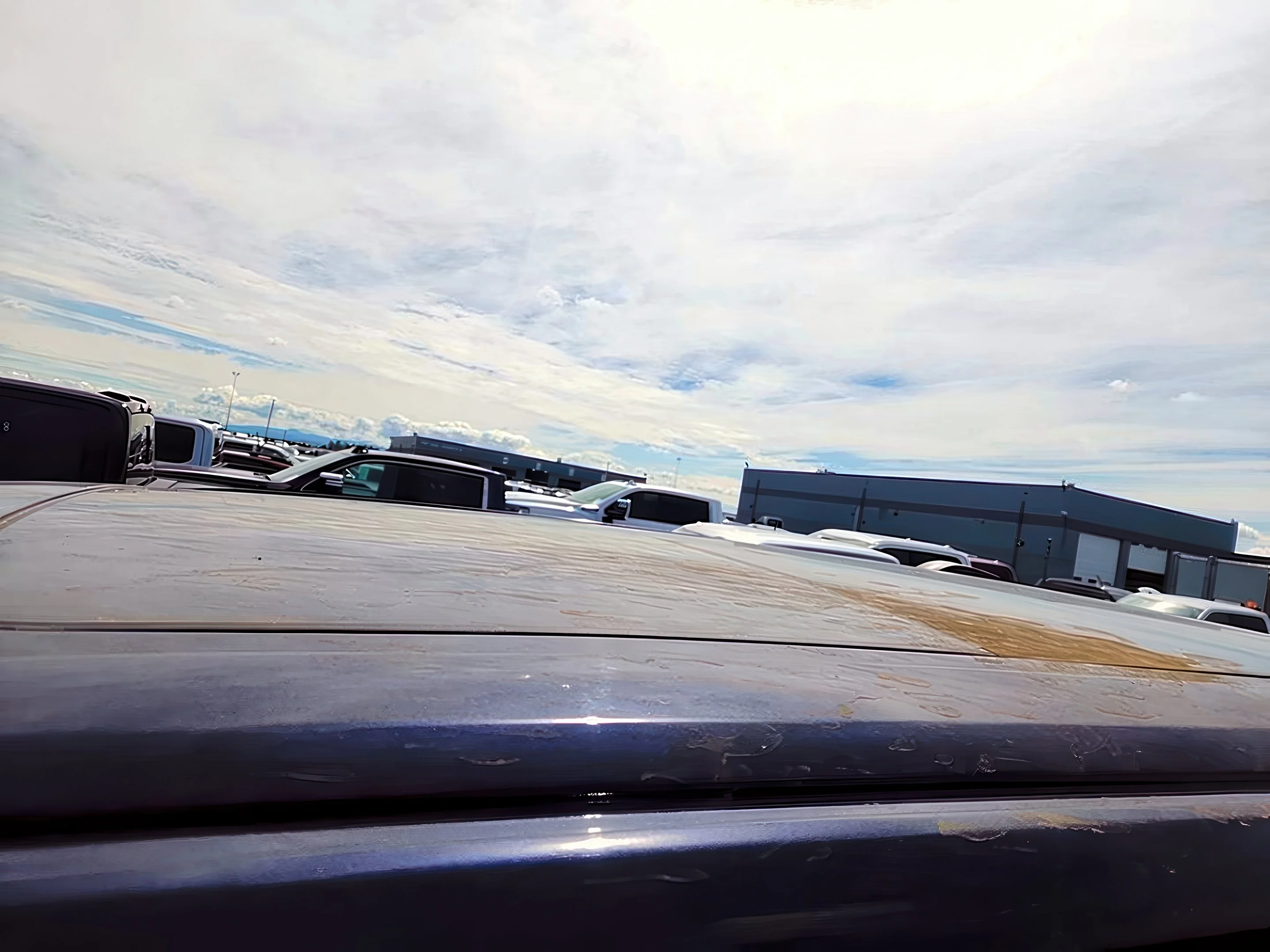 2023 Ford F-150 Tremor - Photo 13