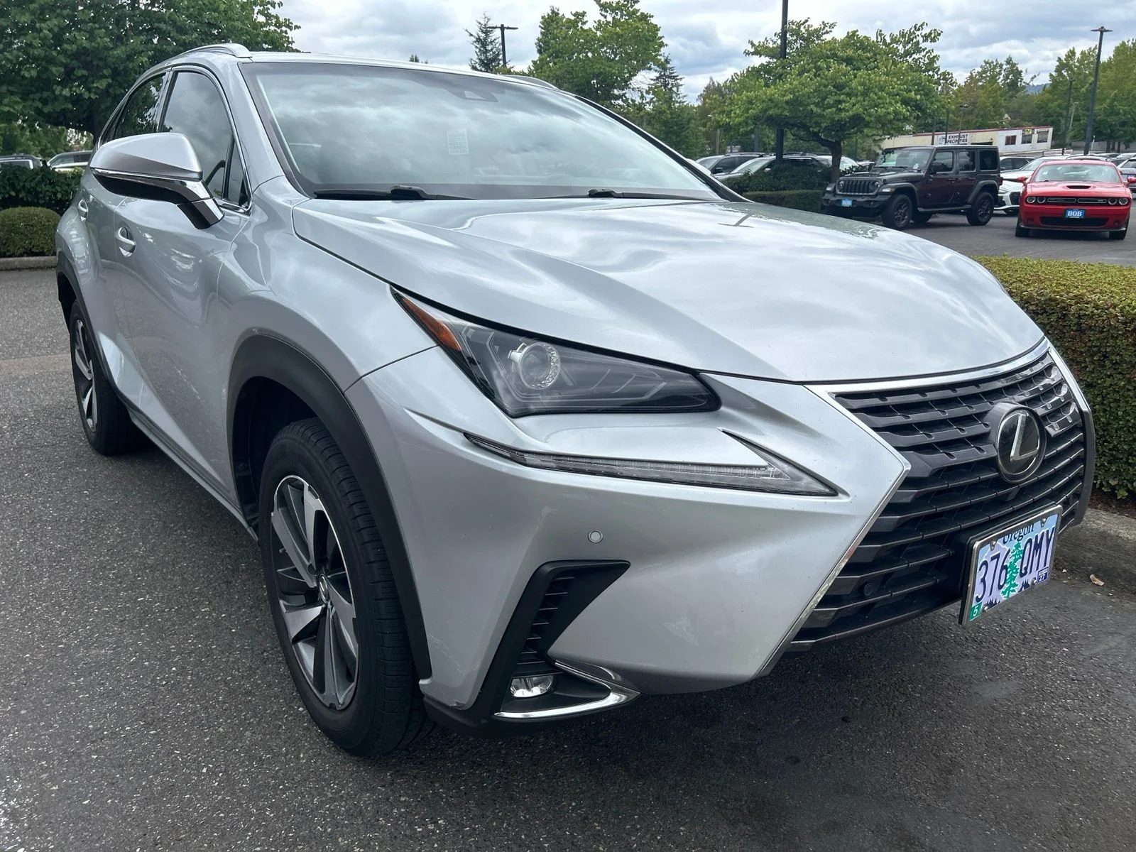 Used 2019 Silver Lining Metallic Lexus 300 Base image 3