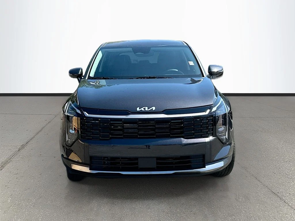 New 2026 Panthera Metal Kia EX image 2