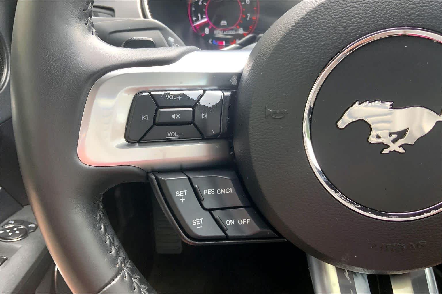 Used 2019 Magnetic Ford EcoBoost Premium image 20