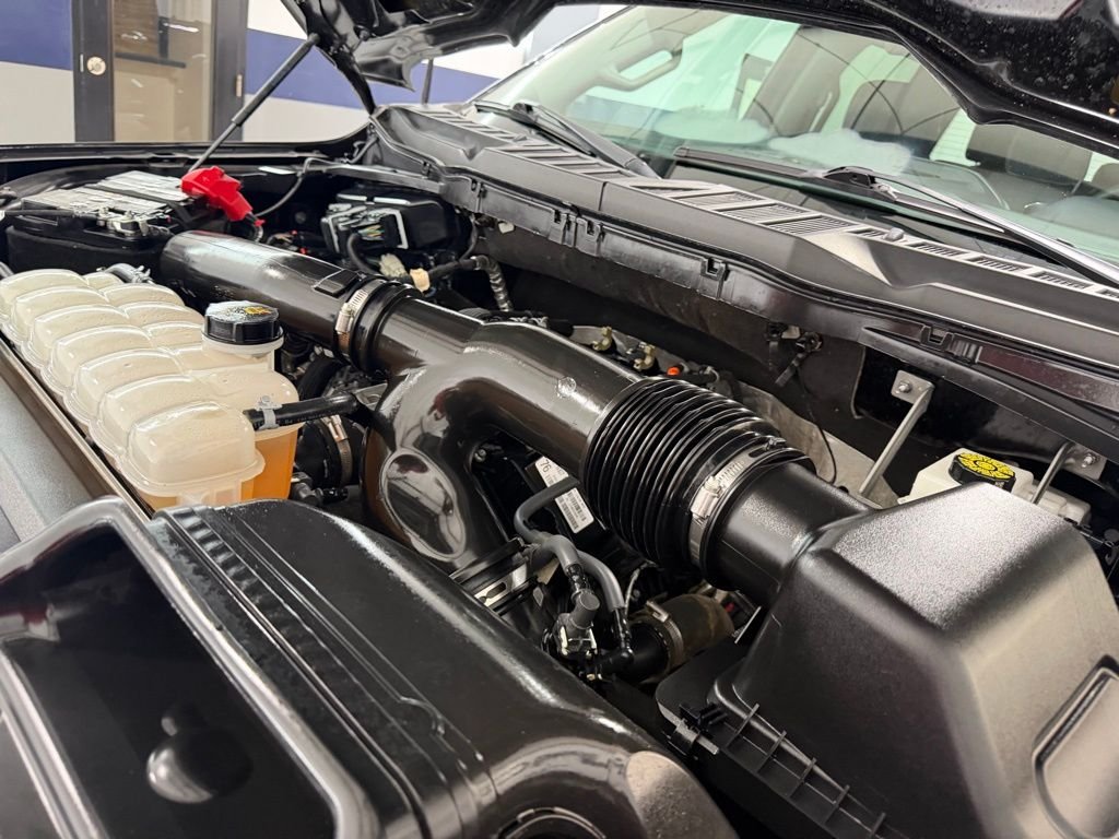 2025 Ford F-150 XLT - Photo 6