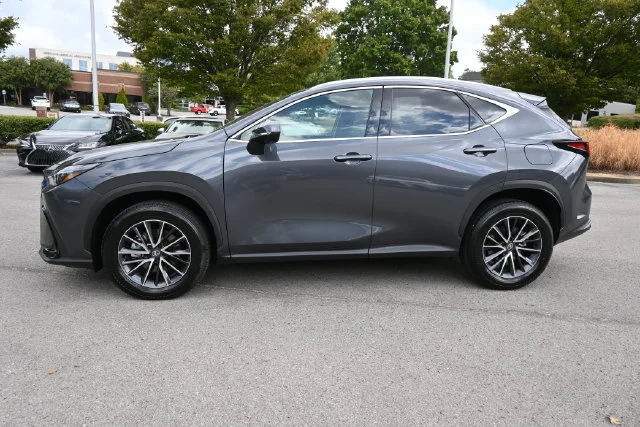 2026 Lexus NX 350 - Photo 10