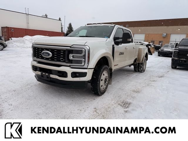 Used 2025  Ford Platinum image 1