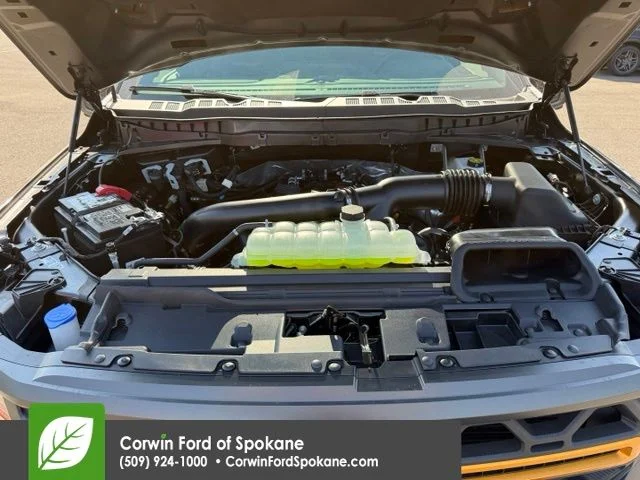 New 2026 Gray Ford Tremor image 33