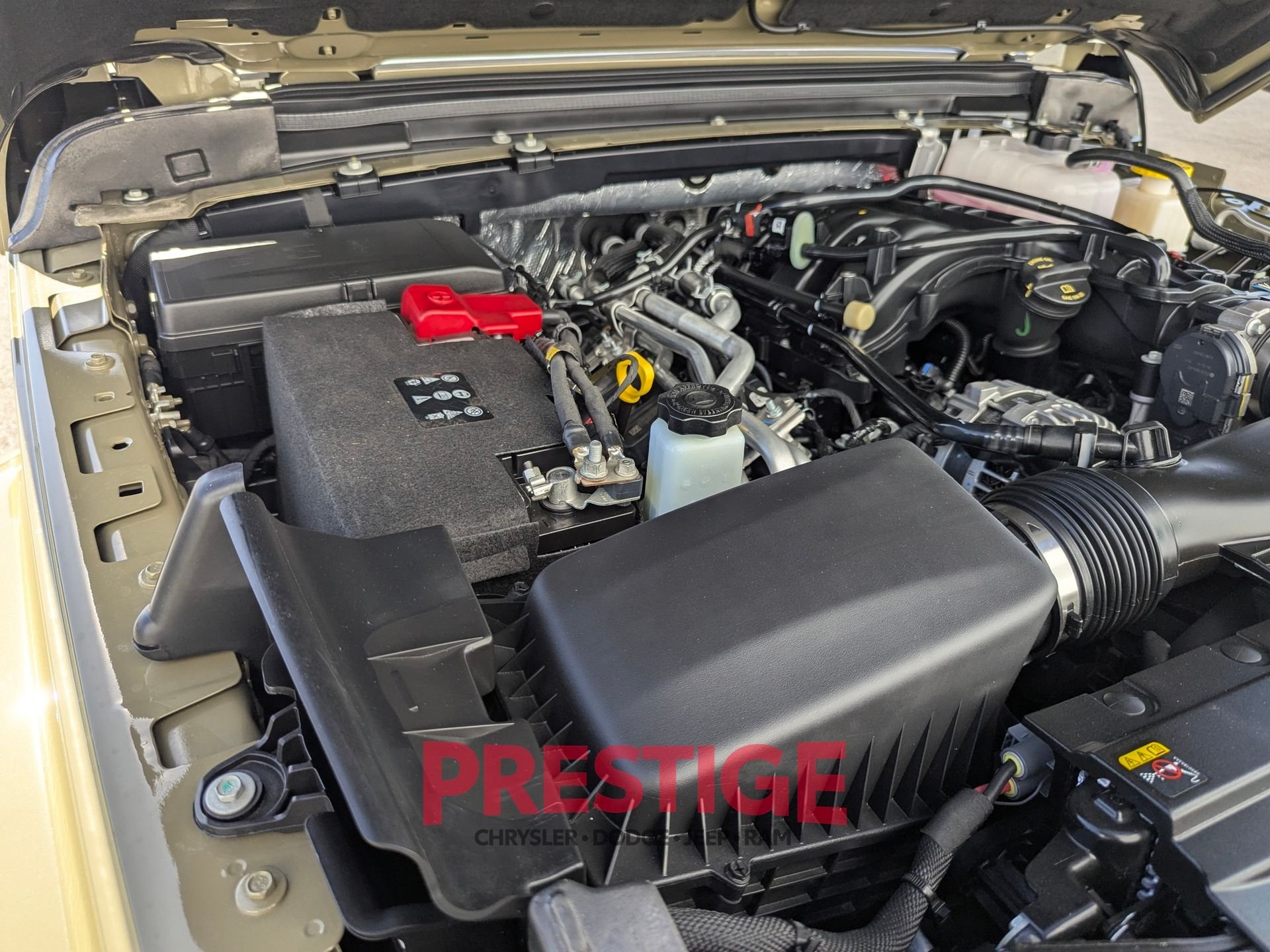 New 2026 41 Exterior Paint Jeep Willys 41 image 28