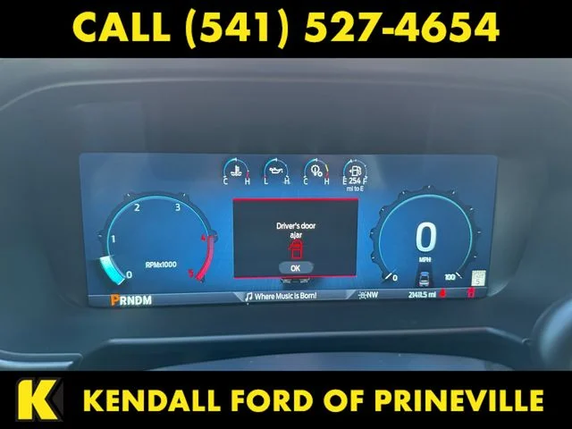 Certified Used 2024  Ford Platinum image 14