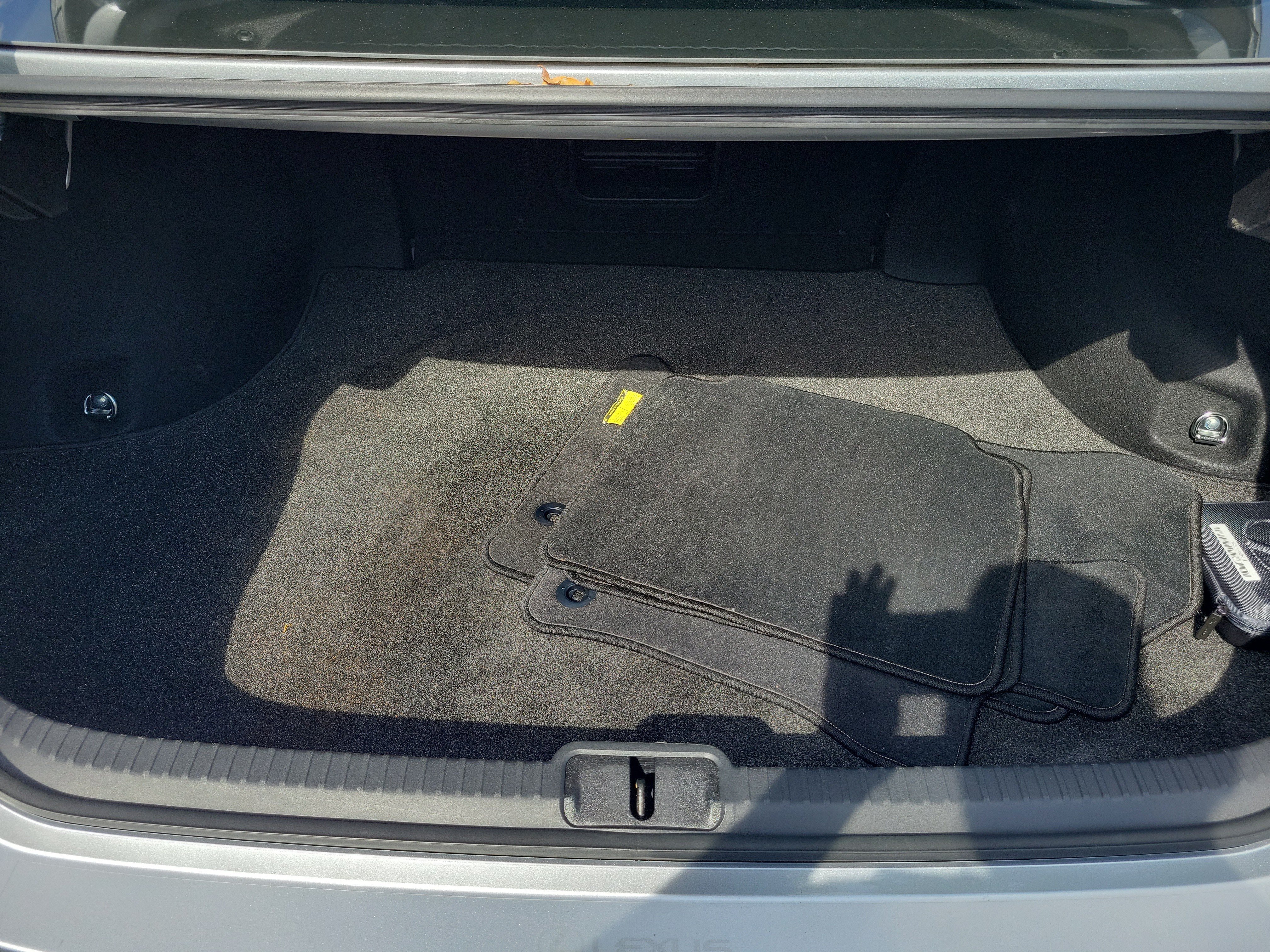Certified Used 2023 IRIDIUM Lexus ES 250 image 9