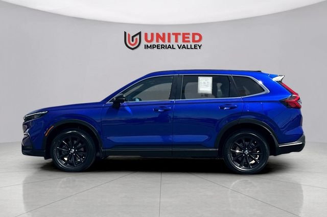 Used 2024 Blue Honda Sport-L image 7