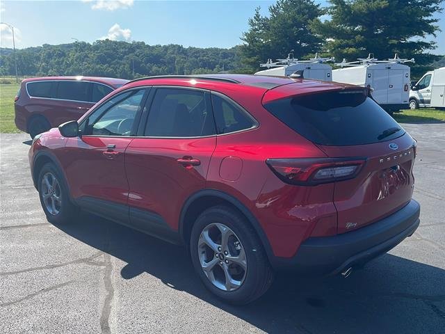 Photo 31