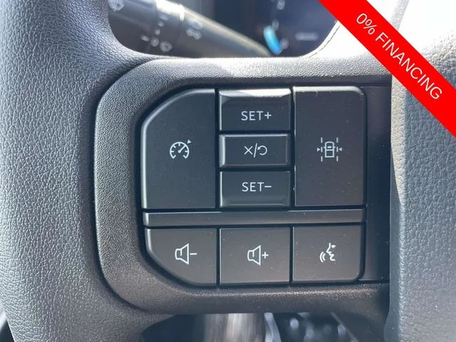 New 2026 Gray Ford STX image 18