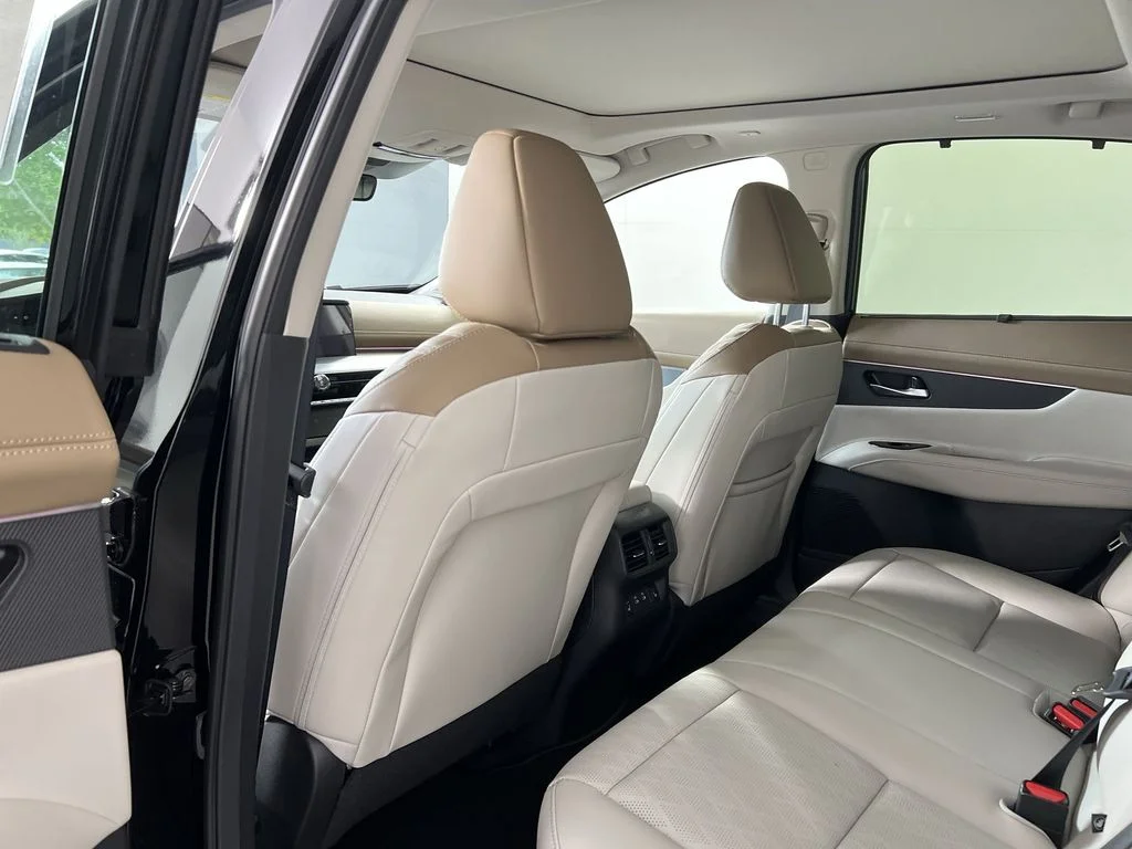 New 2026 Super Black Nissan Platinum image 27