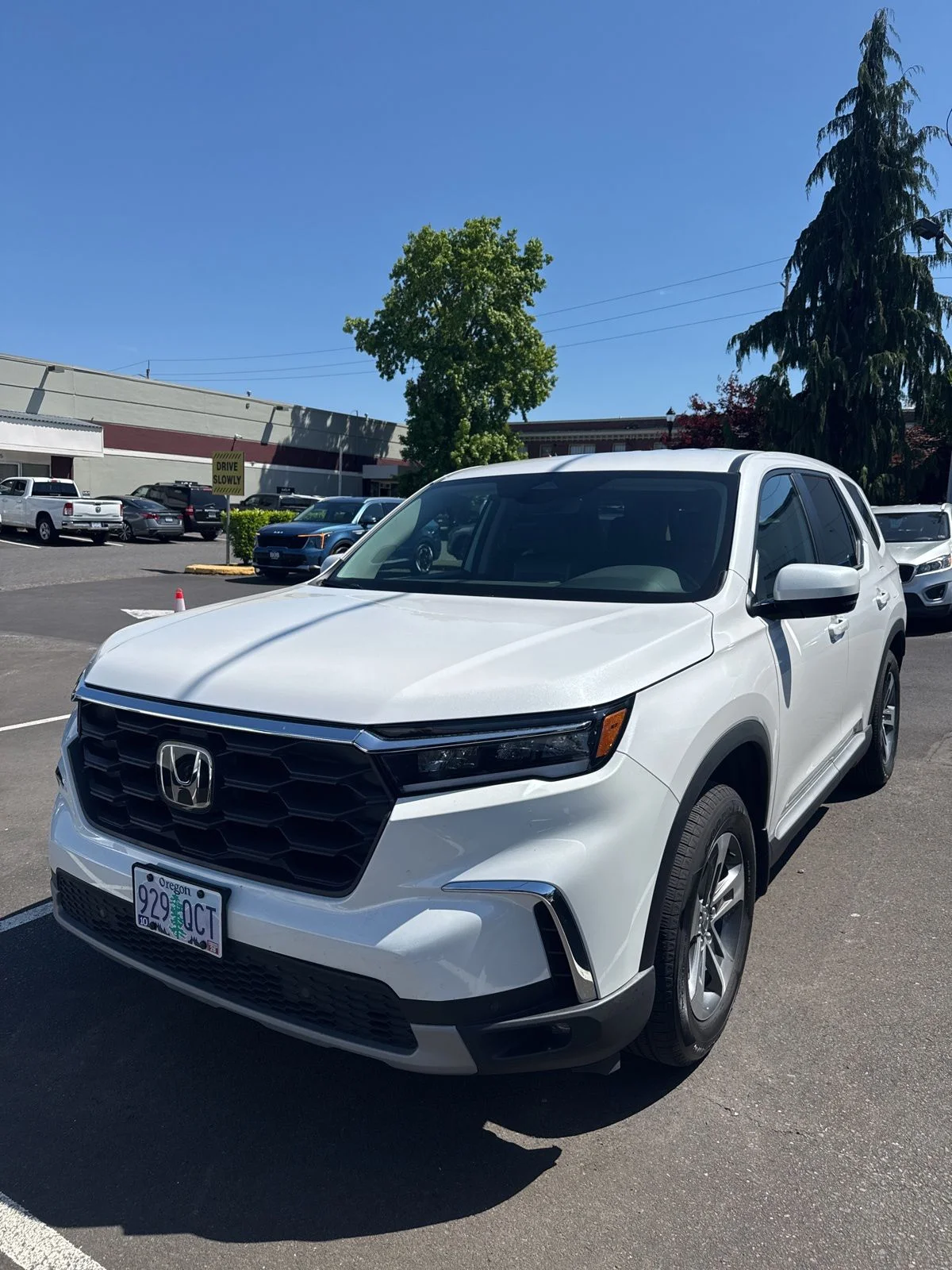 2025 Honda Pilot EX-L AWD's photo