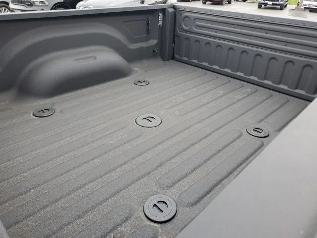 Used 2025 Black Ram Limited image 10