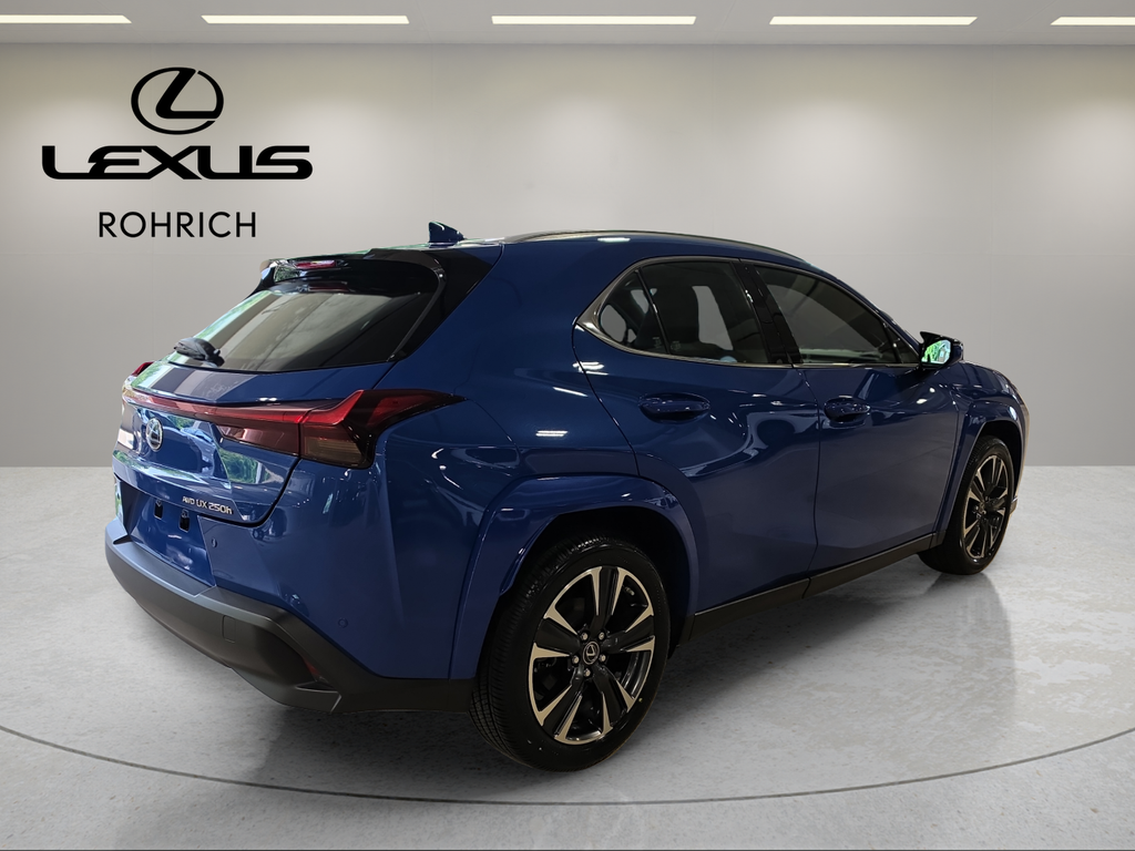Certified Used 2023  Lexus 250h Premium image 6