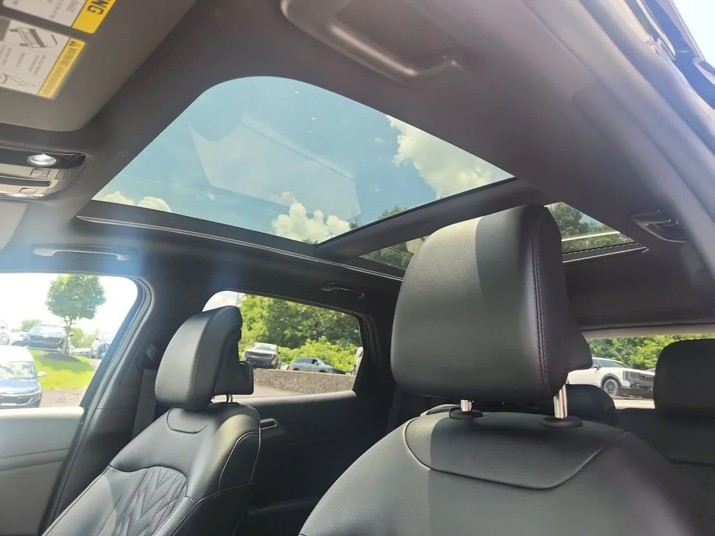 Used 2024 Black Kia X-Line image 24