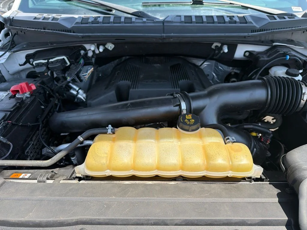 Used 2019 White Ford XLT image 8