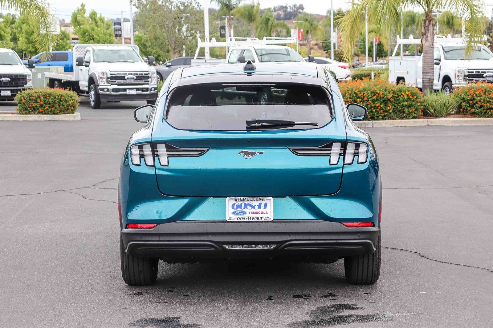 New 2026 Adriatic Blue Metallic Ford Select image 5