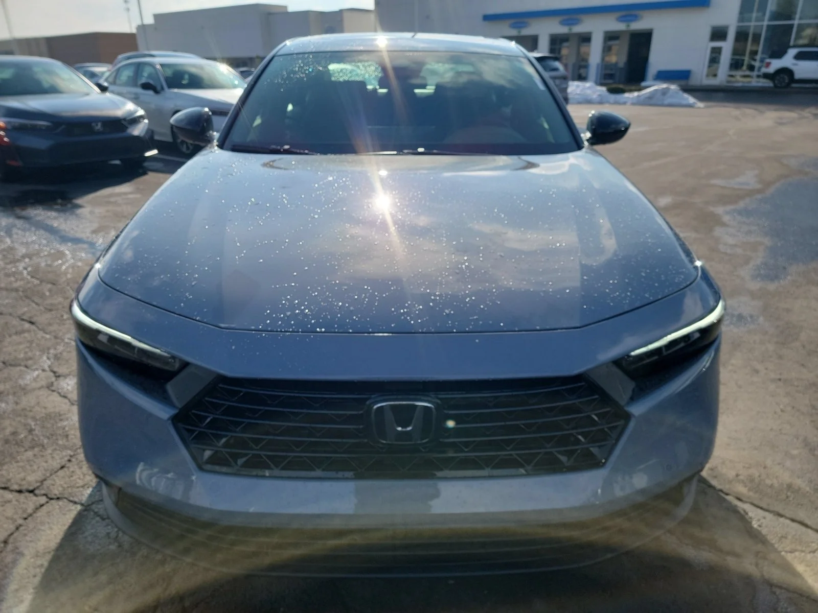 New 2026 Urban Gray Pearl Honda Sport image 2