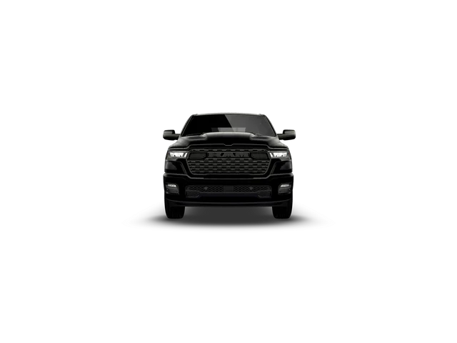 New 2026 Diamond Black Crystal Pearl-Coat Exterior Paint RAM Express image 12