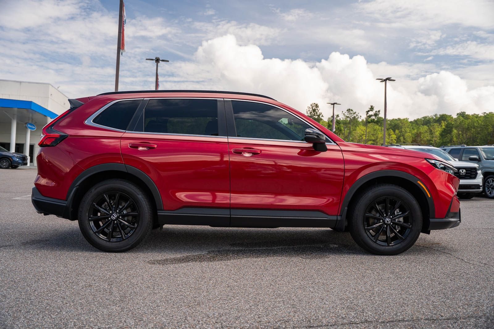 Used 2025 Red Honda Sport image 8