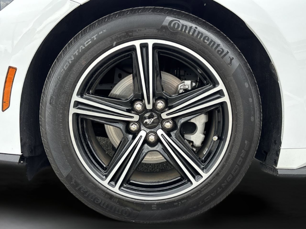 Used 2024 Oxford White Ford EcoBoost image 31