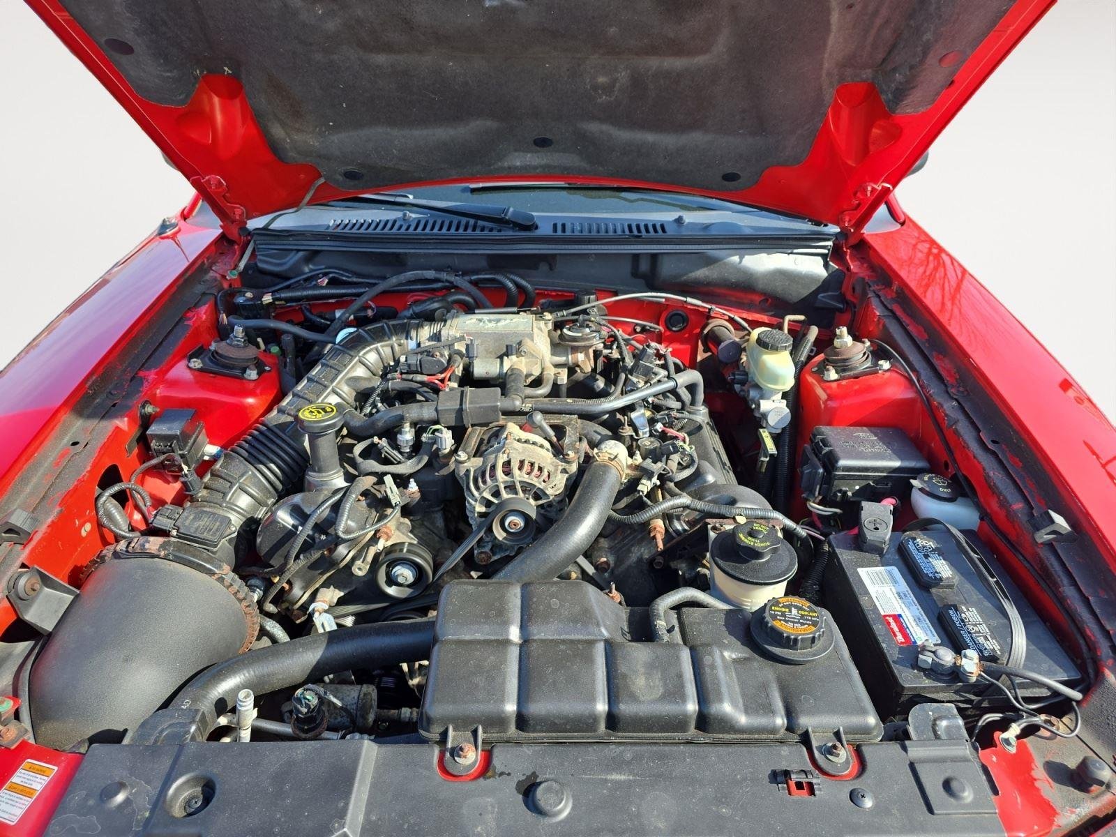Used 2000 Laser Red Ford GT image 21