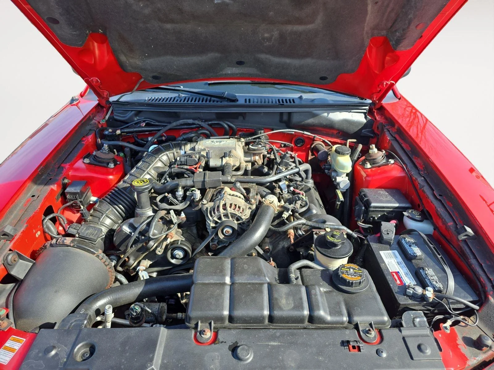 Used 2000 Laser Red Ford GT image 21
