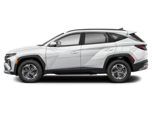 New 2026 Creamy White Pearl Hyundai Blue image 2