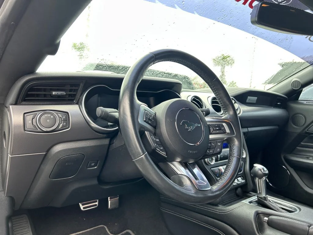 Used 2019 White Ford EcoBoost Premium image 8
