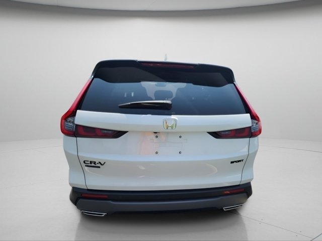New 2026 Platinum White Pearl Honda Sport-L image 6