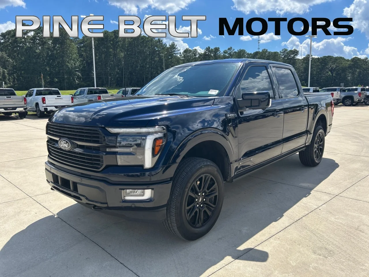 Used 2024 Blue Ford Platinum image 1