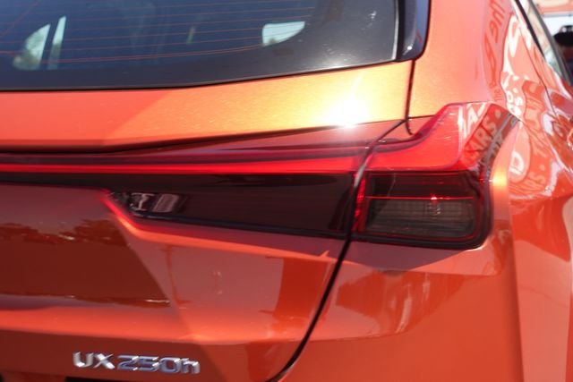 Used 2019 Orange Lexus 250h F SPORT image 9