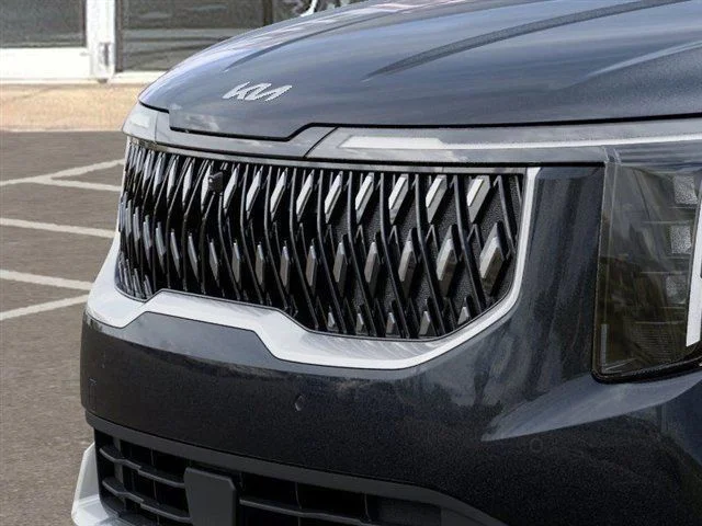 New 2026 Panthera Metal Kia EX image 12