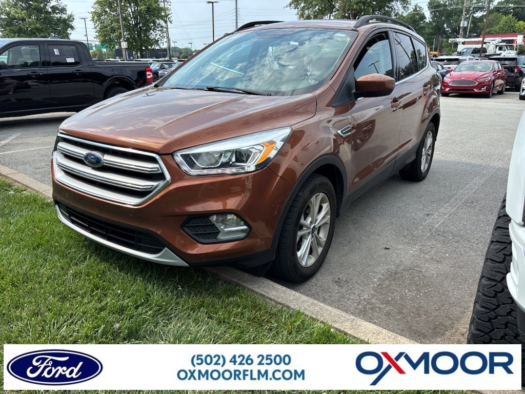 Used 2017 Canyon Ridge Metallic Ford SE image 1