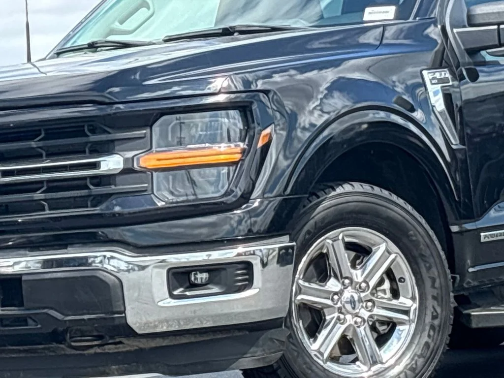 Used 2024 Black Ford XLT image 2