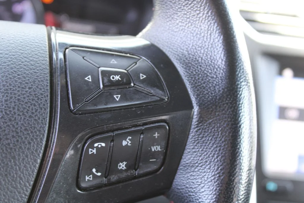 Used 2019 Blue Metallic Ford Sport image 17