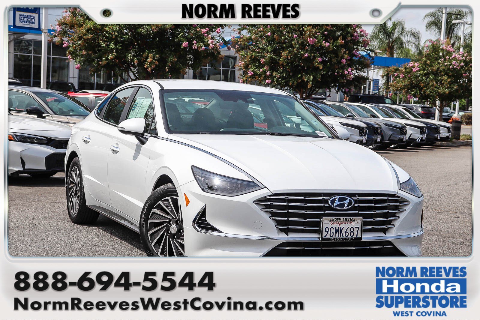 Used 2023 Serenity White Hyundai SEL image 1