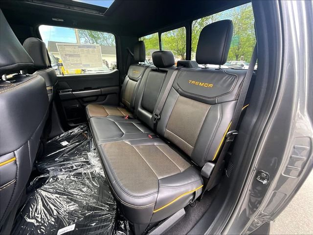 New 2026 Gray Ford Tremor image 11
