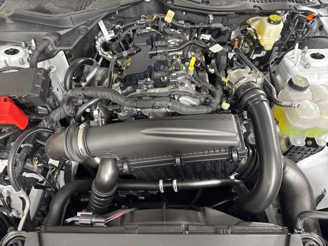 2025 Ford Mustang EcoBoost Fastback - Photo 9