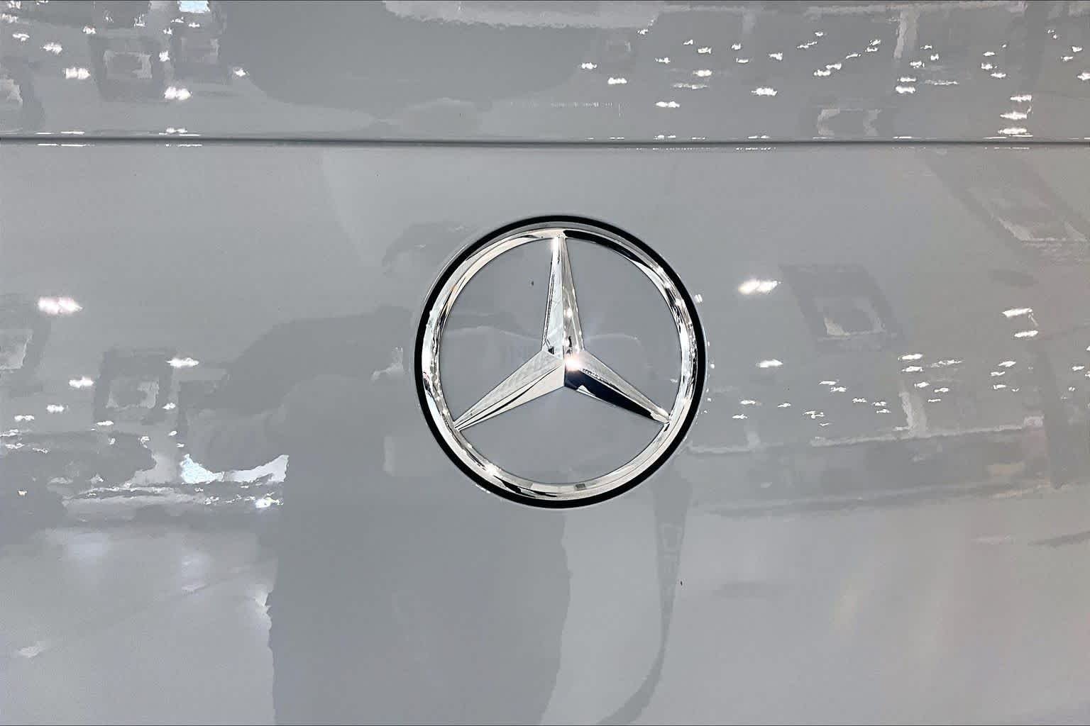 Used 2025 MANUFAKTUR Alpine Grey Mercedes-Benz AMG® GLE 63 S image 10