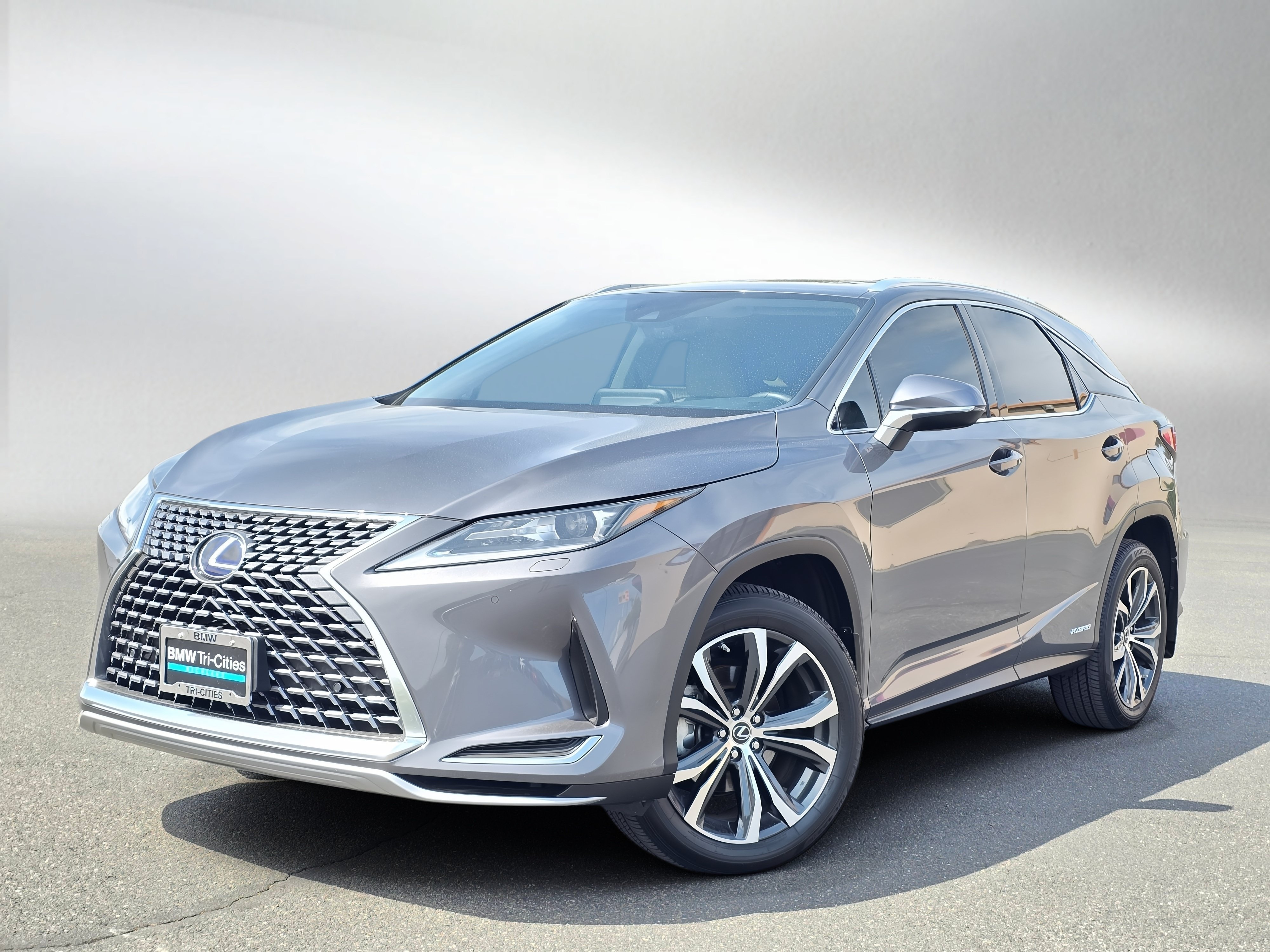 2022 Lexus RX 350h 450h AWD's photo